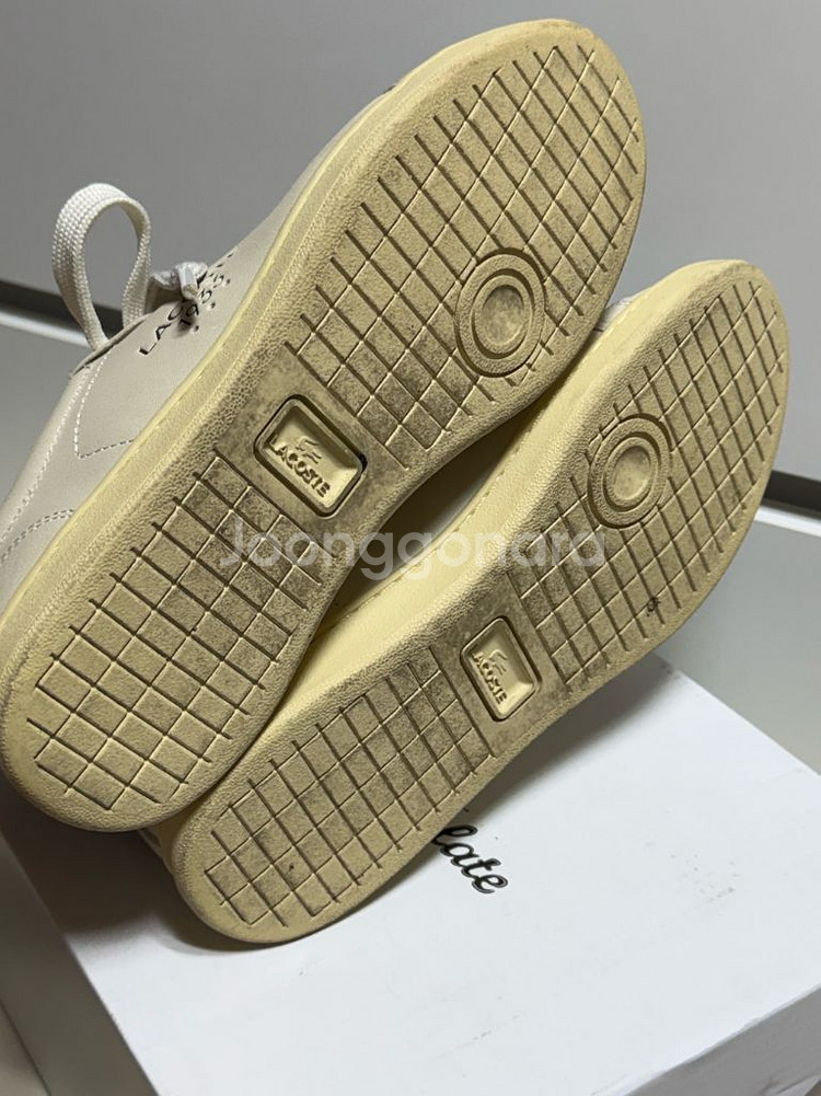 라코스테 신발 250 UK6--2