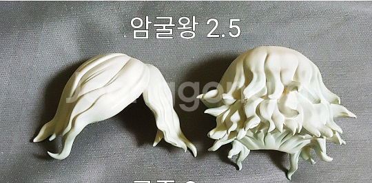 암굴왕 넨도로이드 헤어 팝니다--0