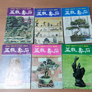 분재수석 73~74년 6권 일괄