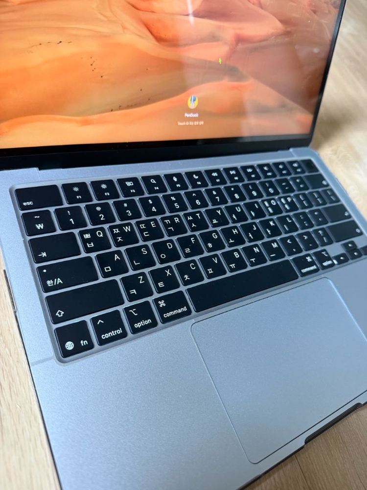 맥북에어 M4(13in, 16r, 512G)+마우스--1