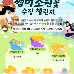 틱톡 소원꽃 30일 미접속 삽니다