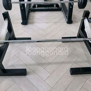 디오브 데드리프트 슬링랙