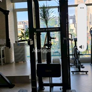 디랙스 친딥 어시스트친딥머신