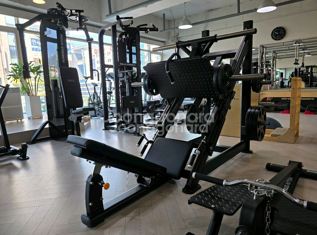 디랙스 파워레그프레스--0