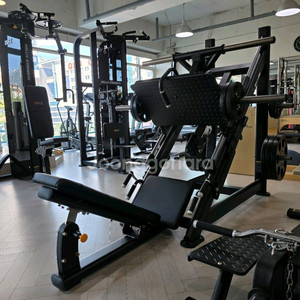 디랙스 파워레그프레스