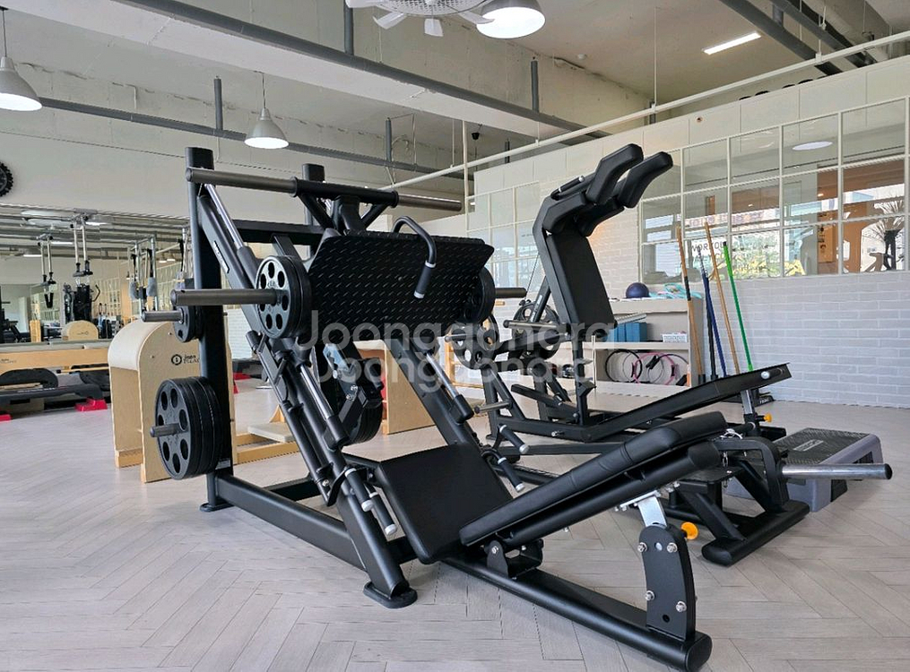 디랙스 파워레그프레스--1