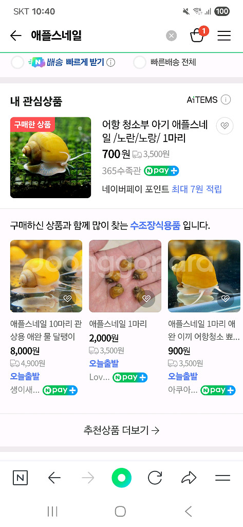 아기 애플스네일 어항청소부 보냅니다--0