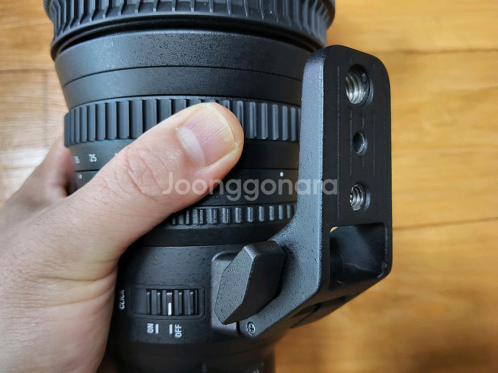 소니 E PZ 18-110mm--5