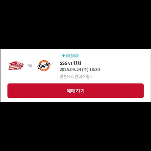 9/24 SSG vs 한화 내야필드석 & SKY뷰석