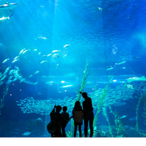 광교18,500일산2.1만아쿠아리움아쿠아플라넷