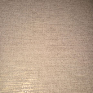 카카오페이지3000캐시