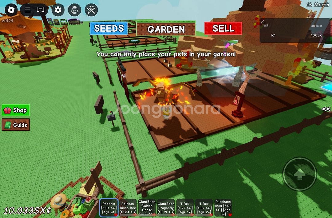 그로우 어 가든 렌보 디스코비--0