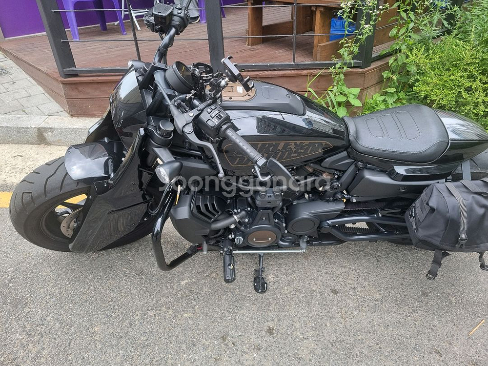 22년 스포스터S--3