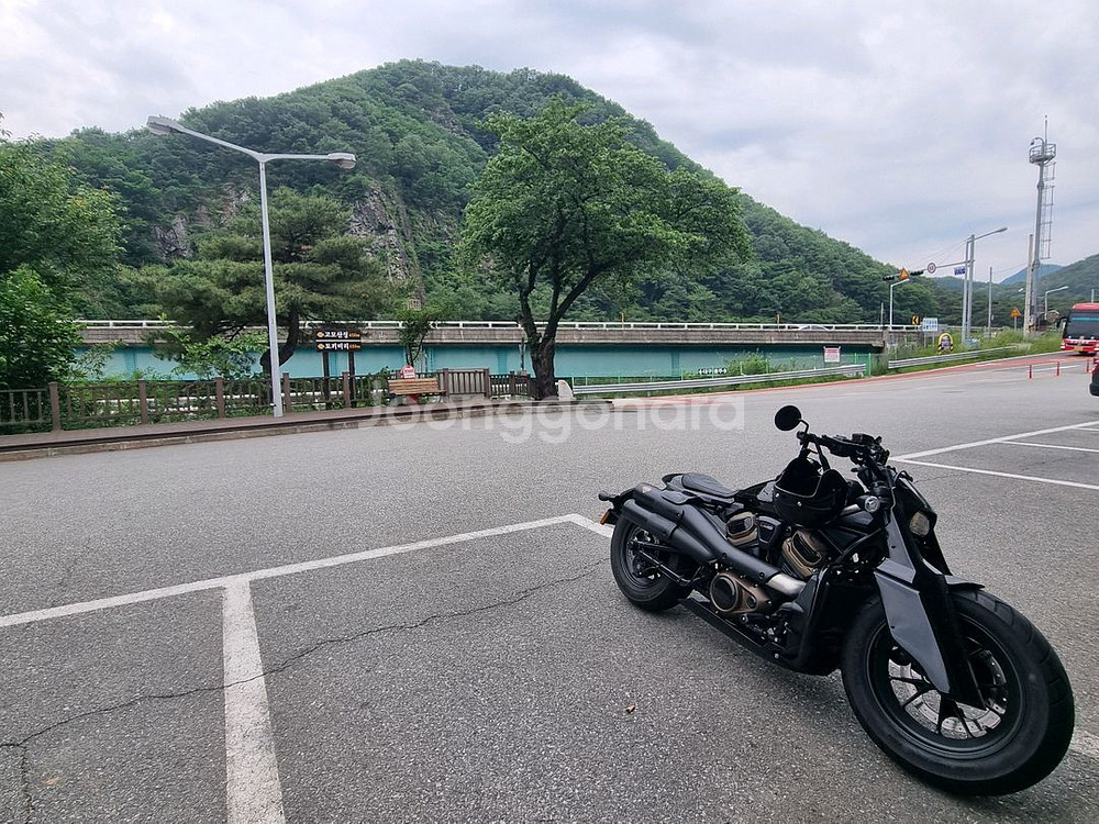 22년 스포스터S--6