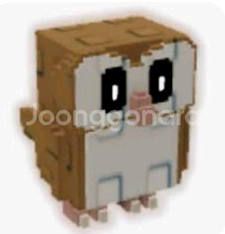 그로우 어 가든 Barn Owl 최저가 상점!!--0