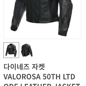 다이네즈 레더자켓