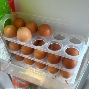 최고 아이디어)자동으로 열리는 계란 정리함 30구