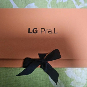 LG 프라엘 인텐시브 멀티케어 BLP1