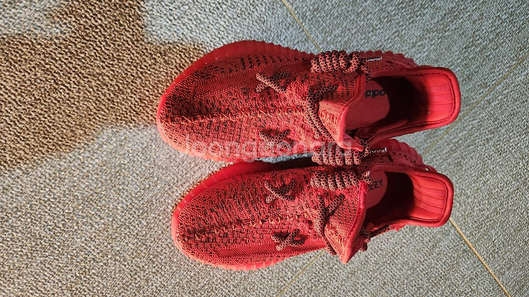 아디다스 이지부스트 350 레드(240)--0