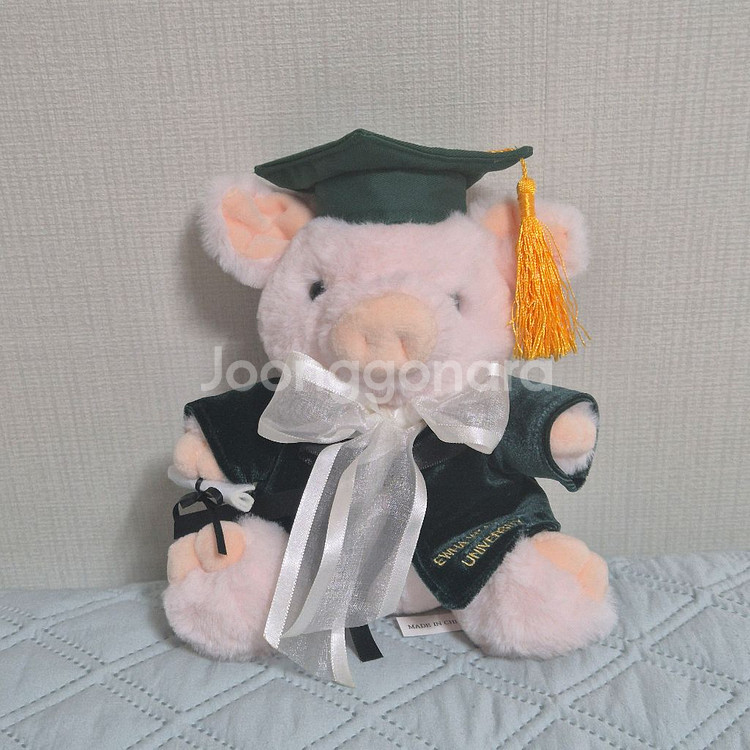 이화여대 이대 졸업곰 곰인형 개당 5,000원--5