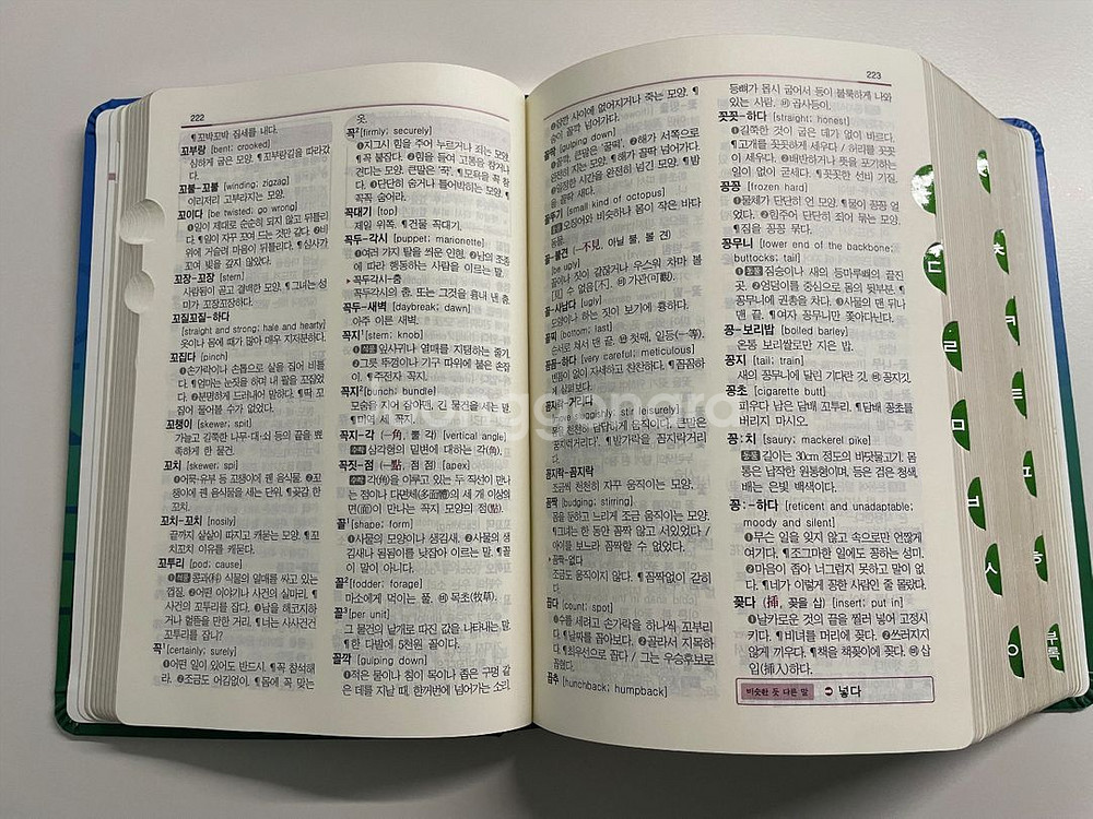 속뜻풀이 초등국어사전--4