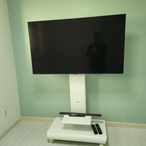 LG55인치tv+인페쏘htr1200장(s급)