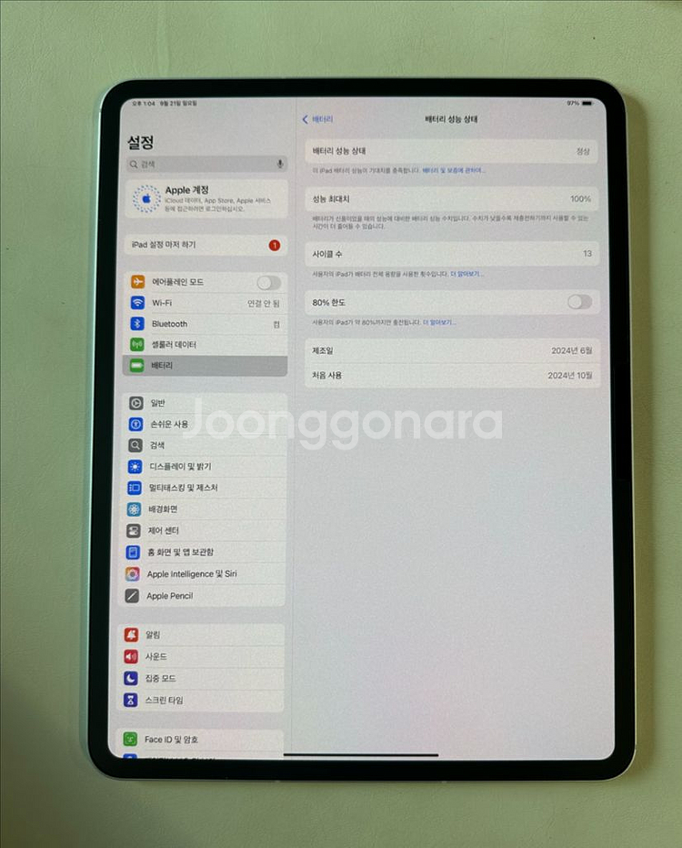 아이패드프로13 M4 셀룰러 256GB+애플펜슬프로--3