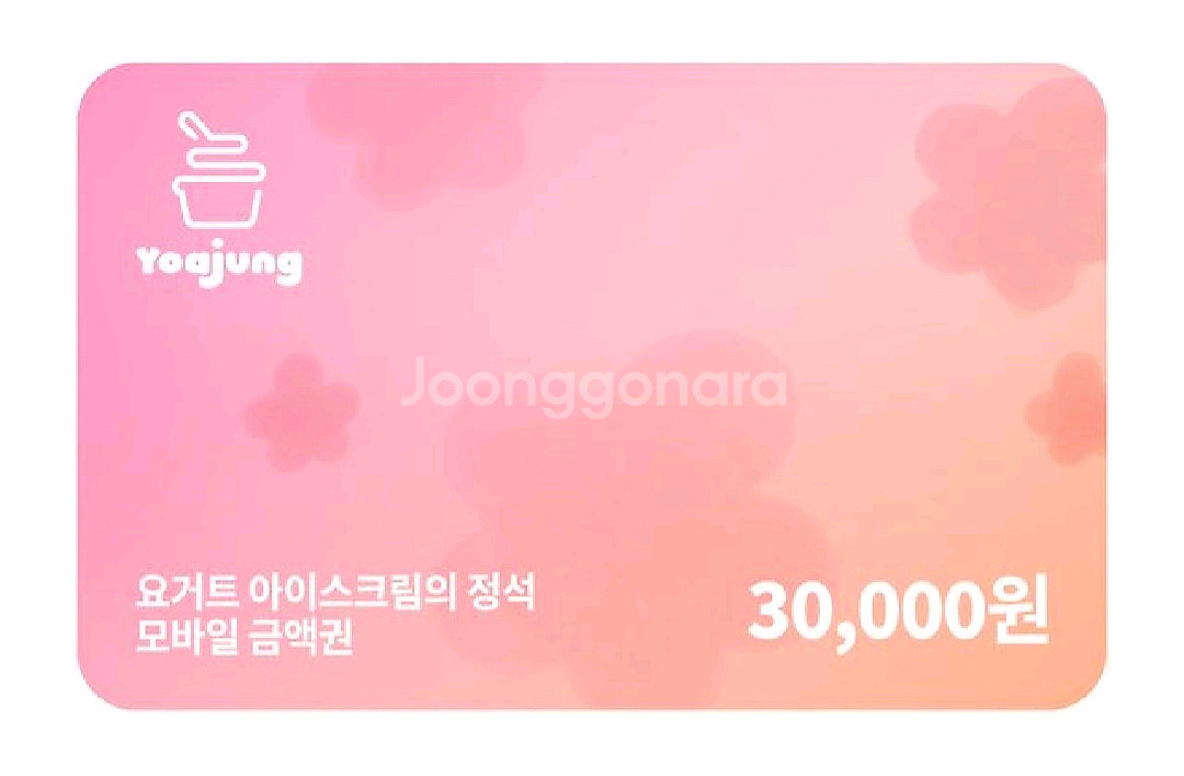 요아정 3만원권 요거트아이스크림의정석--0