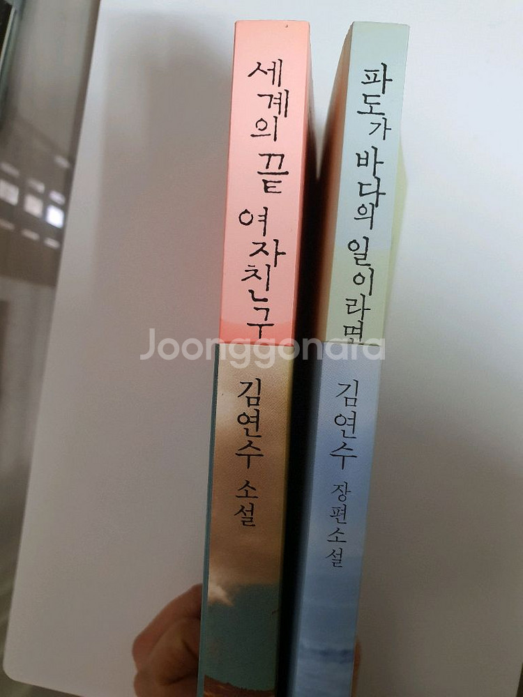 드라마 남자친구 속 도서[세계의끝 여자친구 외1권]판매--2