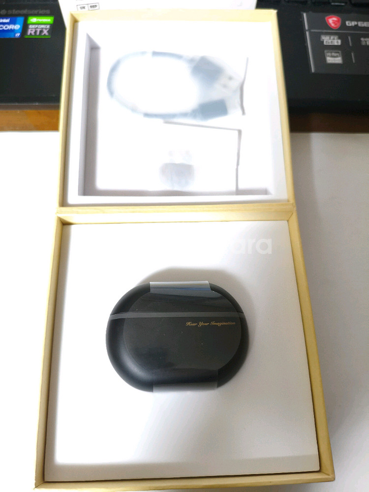 사운드피츠 capsule pro+ 팝니다--1