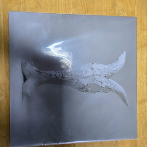너드커넥션 lp