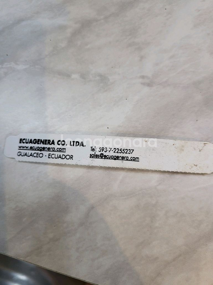 안스리움 베쎄AFF X럭셔리안스 (에콰제네라)--2