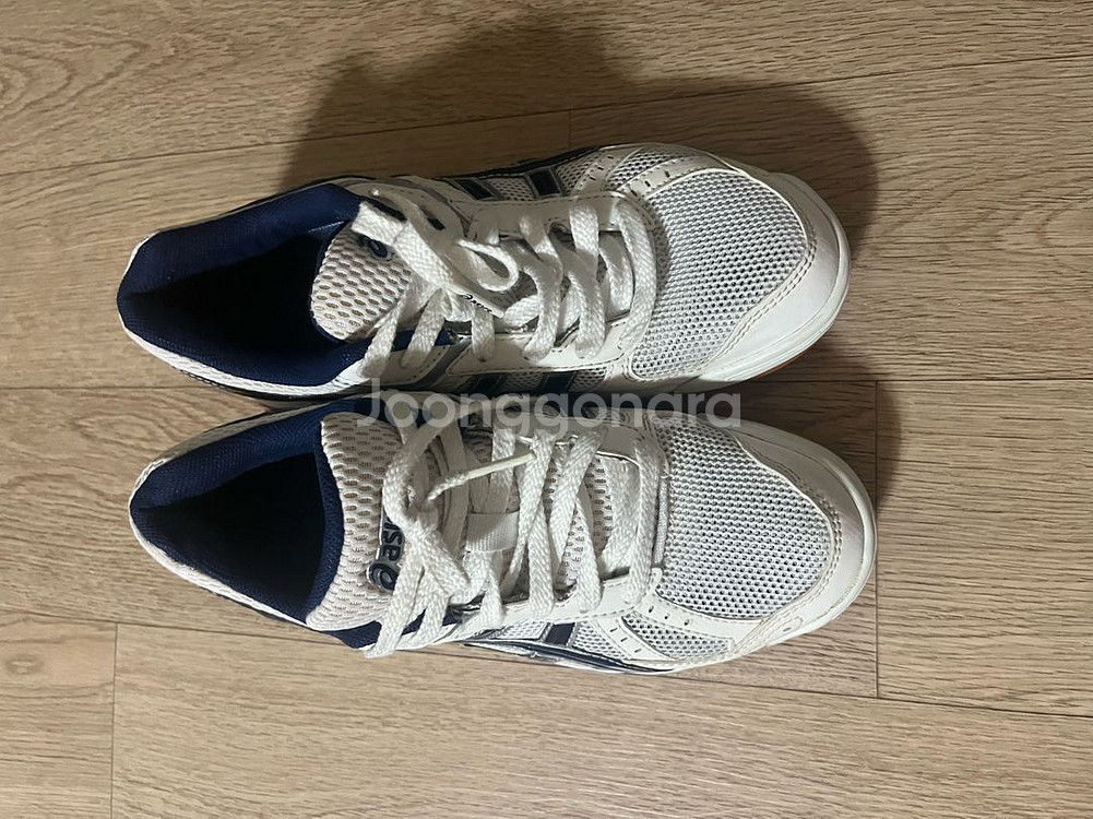 아식스 로테리브레 240size--4