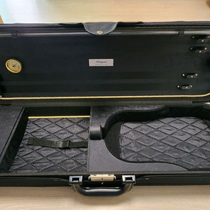 다현25 바이올린 케이스