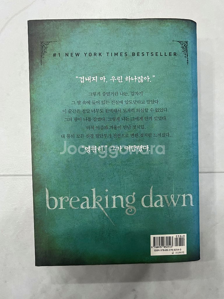 브레이킹던--1