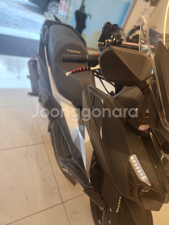 크루심알파300 22년식--2