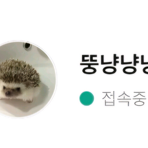 뚱냥냥냥 개인거래창