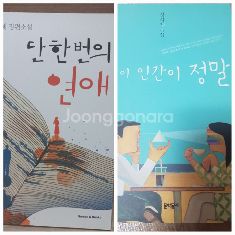 성석제)이인간이정말.단한번의연애--0