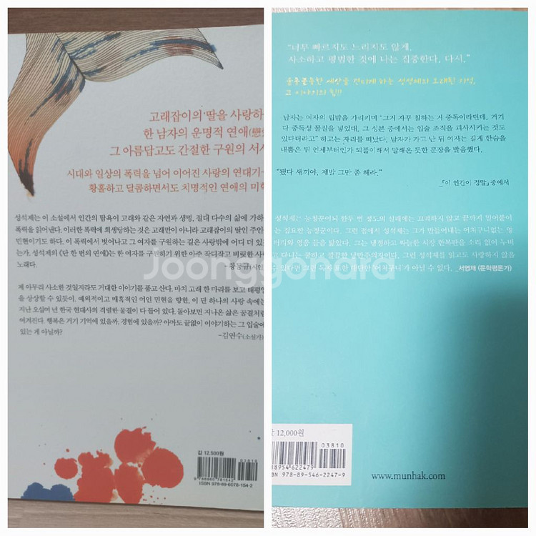 성석제)이인간이정말.단한번의연애--1