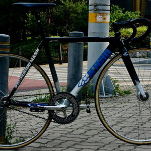 픽시 치넬리 매쉬 히스토그램2013년식 개급처 가격포기