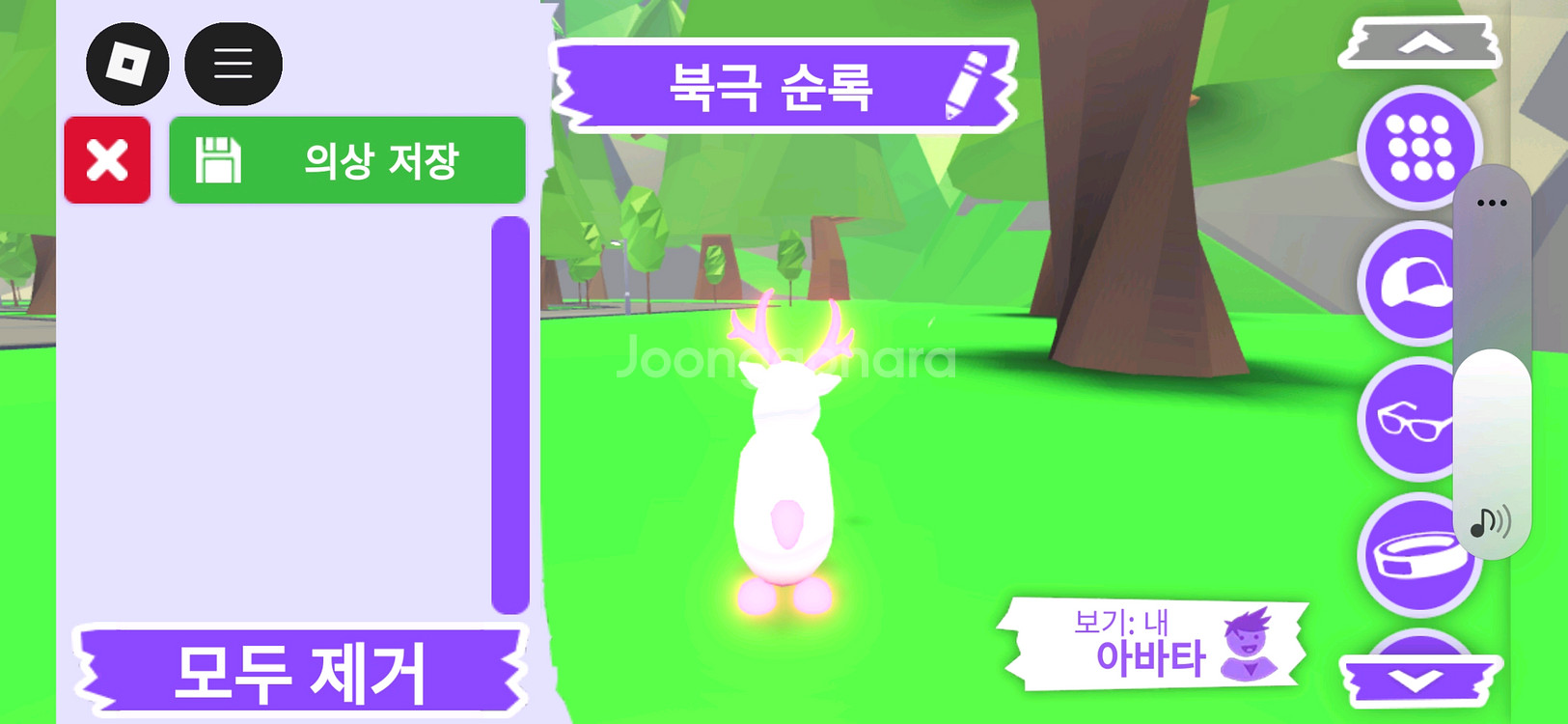 입양하세요 펫 메가네온 북극 순록(메흰순)판매 합니다--3