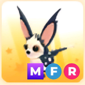 입양하세요 MFR 물주머니쥐