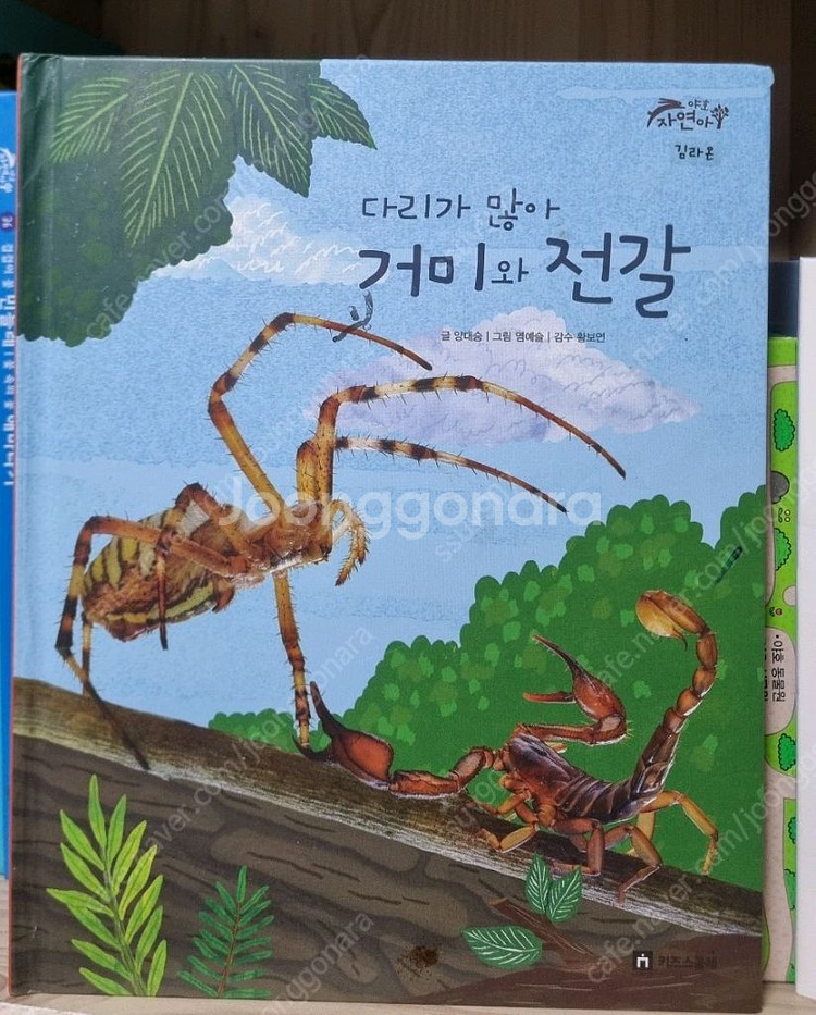키즈스콜레 야호 자연아--4