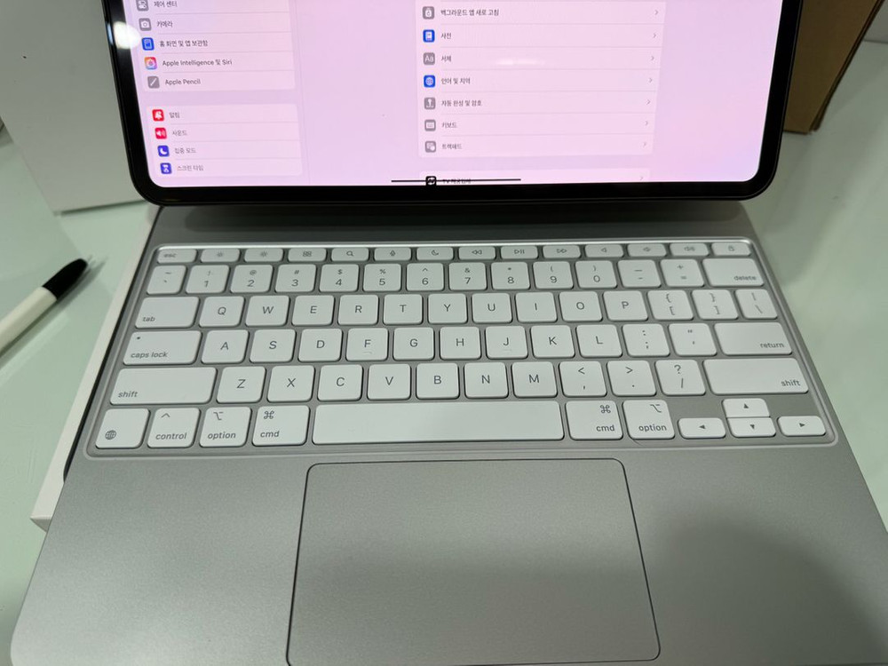 아이패드 프로7세대 M4 13 셀룰러(애케플)풀셋급처 이미지