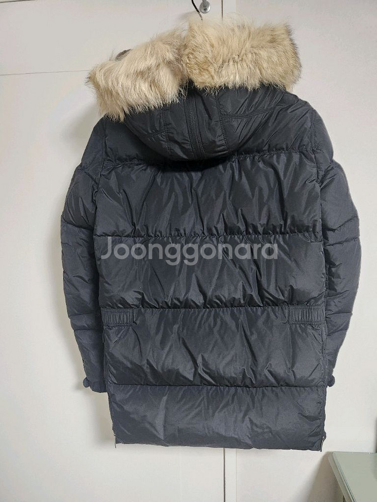파라점퍼스 하라시켓--1