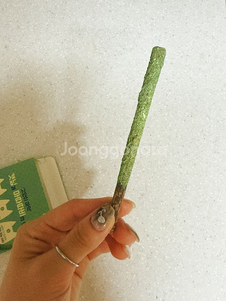 냥빼로 캣닢고양이마약--3