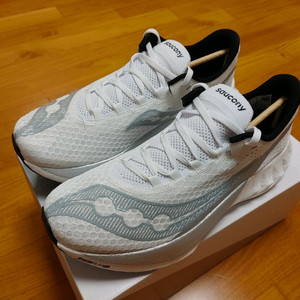 써코니 엔돌핀 프로4 280 mm (Saucony)
