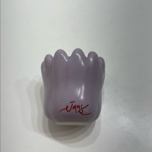잔스 튤립 괄사