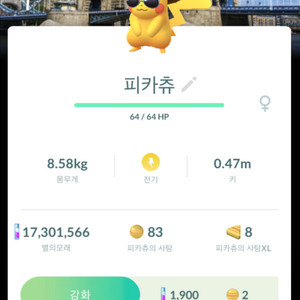 포켓몬고 배경 피카츄 판매