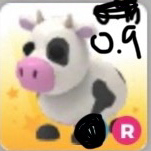 입양하세요 타젖소 팔아요